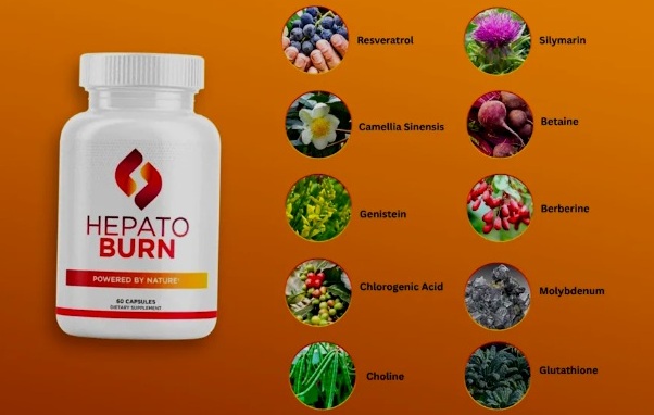 hepatoburn ingredients